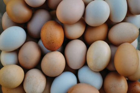 What to Expect from Laying Hens: Odd-Shaped Chicken Eggs and More Image